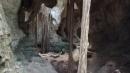 Spider Caves 2: amazing tree roots